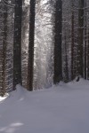 1392946270_01853100_zoom.jpg