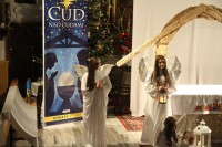  IMG_0826.JPG 