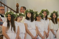  IMG_3263.JPG 