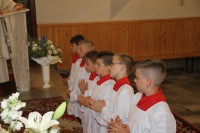  IMG_3753.JPG 