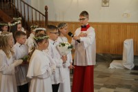  IMG_7393.JPG 