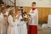  IMG_7402.JPG 
