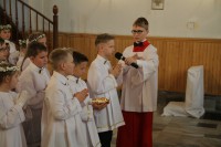  IMG_7409.JPG 