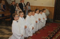  IMG_8393.JPG 