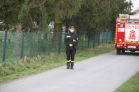  IMG_1665.JPG 