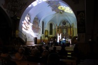  IMG_9731.JPG 