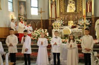  IMG_0627.JPG 