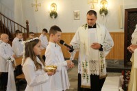  IMG_0643.JPG 