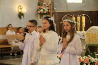  IMG_0733.JPG 
