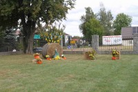  IMG_2539.JPG 