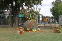  IMG_2540.JPG 