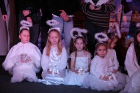  IMG_4233.JPG 
